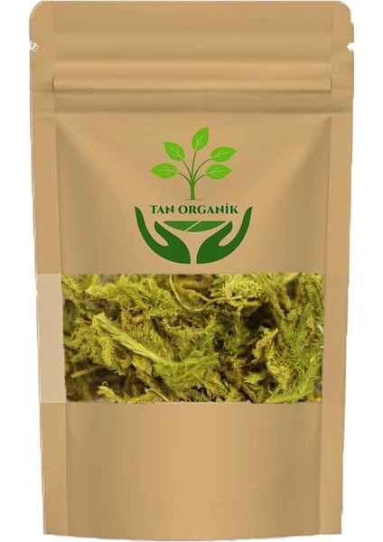 Kurt Pençesi (Kibritotu) (Lycapodium Clavatum) 500GR