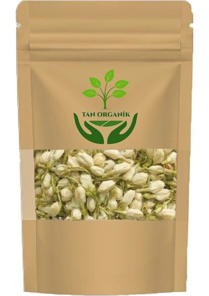 Yasemin Çiçeği Beyaz Tomurcuk 25GR