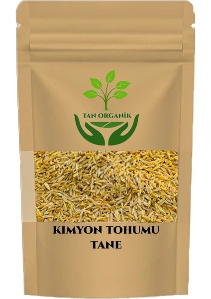 Kimyon Tohumu 25GR