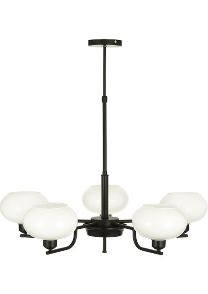 Vanna 5 li Beyaz Camlı Salon Oturma Odası Modern Sarkıt Avize - (Siyah) fırsatları