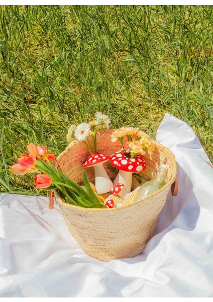 Çok Renkli Vazo Doıy Amanita Mantar Büyük Vazo indirimleri