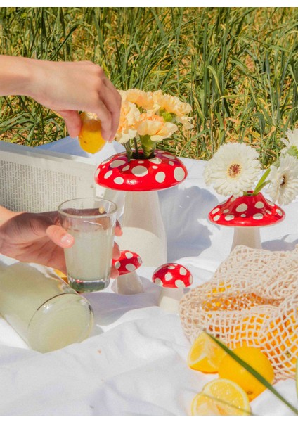 Çok Renkli Vazo Doıy Amanita Mantar Büyük Vazo