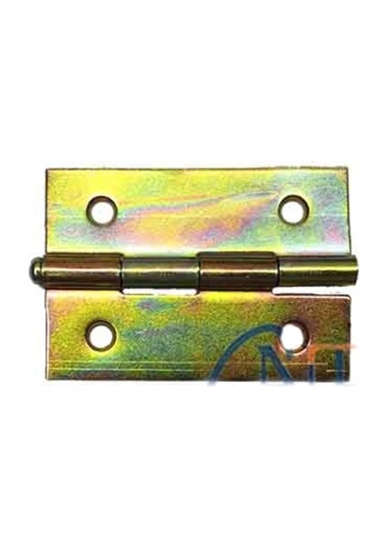 Yaprak Menteşe No:2 - 34X49MM, 1 Adet