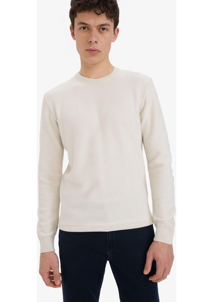 Standart Fit Bisiklet Yaka Triko Kazak C9618AX25AU fırsatları