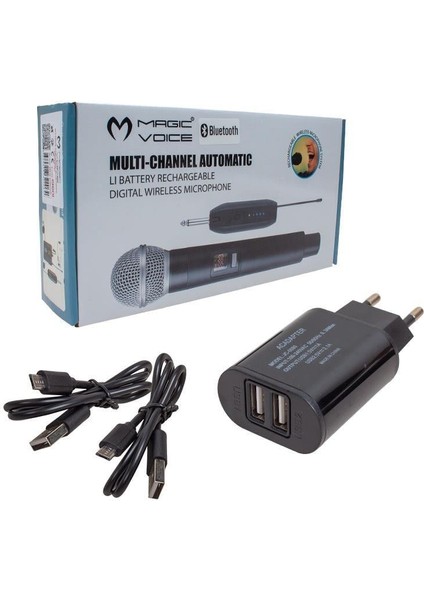 MV-19601 Uhf Kablosuz Enstrüman Uyumlu Bluetooth Jak Girişli Ikili Mikrofon Set modelleri