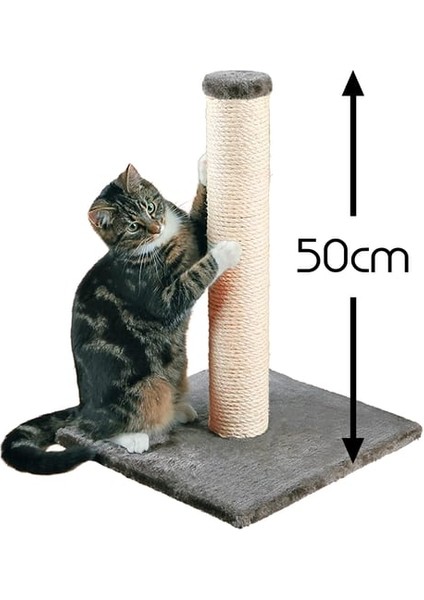 Drstag 51 cm Doğal Malzemeli Catnipli Kedi Tırmalama Tahtası modelleri