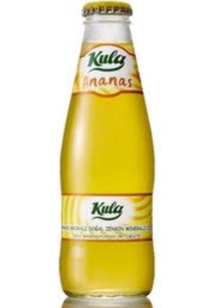 Ananas Aromalı Doğal Mineralli Maden Suyu 200 ml x 24 Cam Şişe (6 x 4’lü Paket) fiyatları