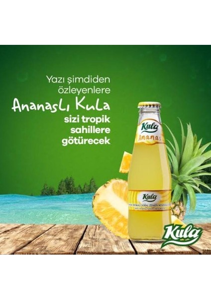 Ananas Aromalı Doğal Mineralli Maden Suyu 200 ml x 24 Cam Şişe (6 x 4’lü Paket) fırsatları