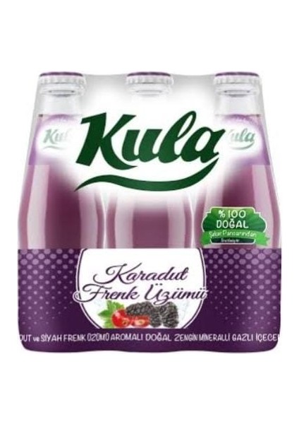 Karadut ve Frenk Üzümlü Aromalı Doğal Mineralli Maden Suyu 200 ml x 24 Cam Şişe (6 x 4’lü Paket)
