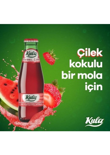 Karpuz ve Çilek Aromalı Gazlı Doğal Maden Suyu 24 x 200 ml Cam Şişede Ferah Lezzet fırsatları