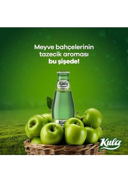 Elma Aromalı Doğal Maden Suyu 200 ml x 24 Cam Şişe (6 x 4’lü Paket) modelleri