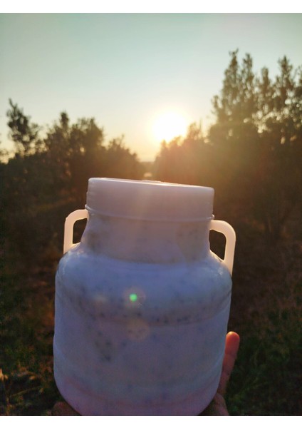 Hatay Yöresel Cara Çökelek Çörekotlu 3kg Bidon fiyatları