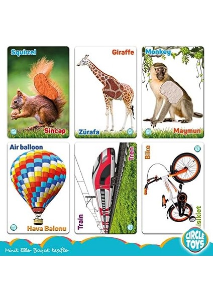 Toys Dokun Hisset Orman Hayvanları ve Araçlar modelleri