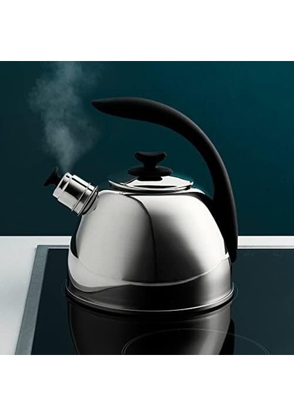 Worldwıde Paslanmaz Çelik Düdüklü Su Isıtıcı 2,5 Lt modelleri