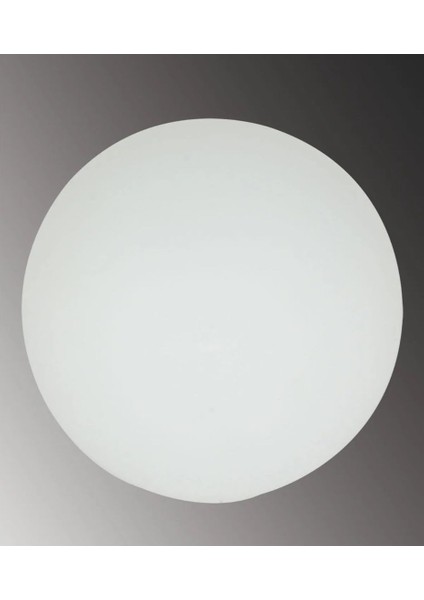 Rengi Mat Avize Abajur Glob Camı Yedek Parça