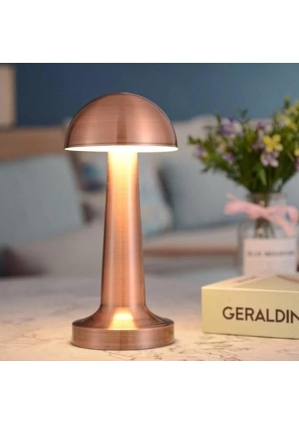 Şarjlı Masa Lambası Dimmerli Dekoratif Abajur Lizbon Dokunmatik Cafe Masa Lambası 3 Renk Işık Modu fiyatları