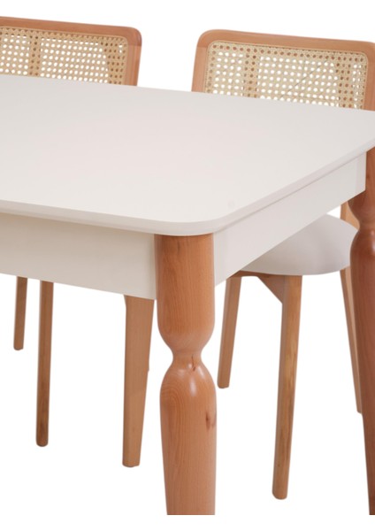 Eliz Zion Lak Panel Mutfak Masa Sandalye Takımı 80X130CM fiyatları