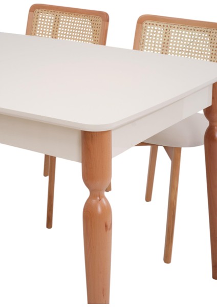 Eliz Zion Lak Panel Mutfak Masa Sandalye Takımı 80X130CM modelleri