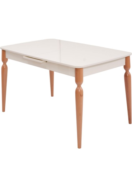 Eliz Zion Lak Panel Mutfak Masa Sandalye Takımı 80X130CM fırsatları