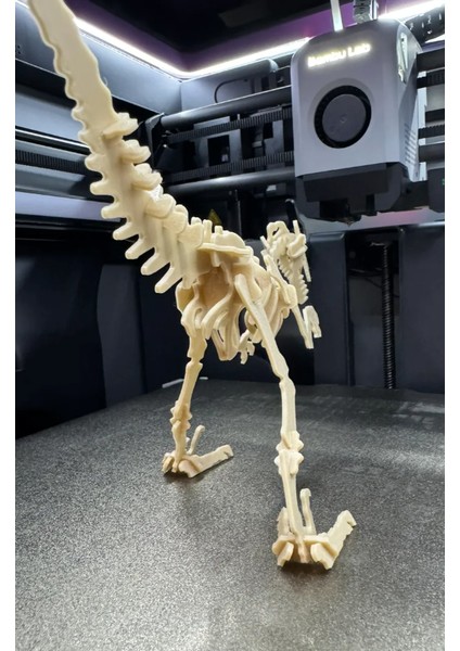 Velociraptor Kit Card-Dinazor Puzzle-Boyanabilir Puzzle modelleri