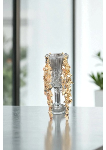 Sallantılı Yıldız Küpe fiyatları