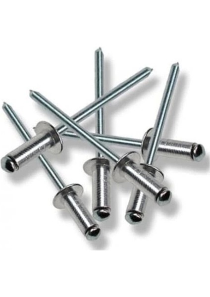 Perçin Pop 4X20 mm (10 Adet)