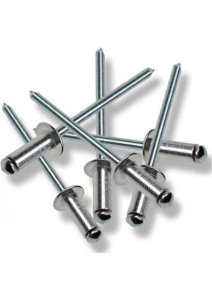 Perçin Pop 5X10 mm (10 Adet)