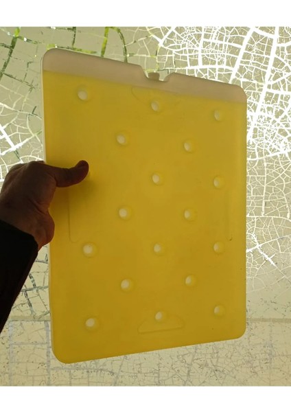 Dünyanın En Büyük Buz Aküsü 42X31CM Alman Malı Jel Buz Kartuşu Çabuk Donan 72 Korumalı Özel Kaseti fiyatları