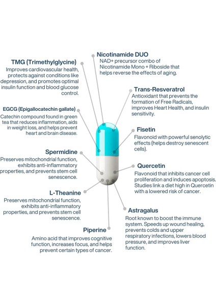 Aeon Liposomal Nad+ Trans-Resveratrol Fisetin Theanine Tmg Spermidine Astragalus 60 modelleri