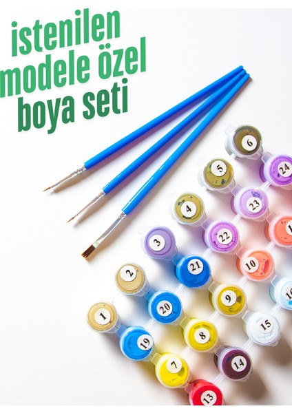 Istenilen Modele Özel Boya Seti