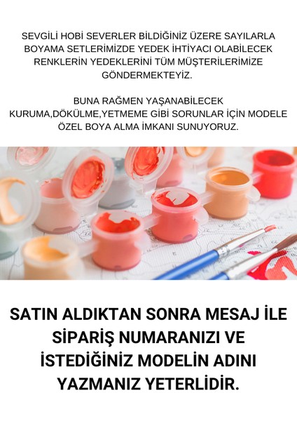 Istenilen Modele Özel Boya Seti fiyatları