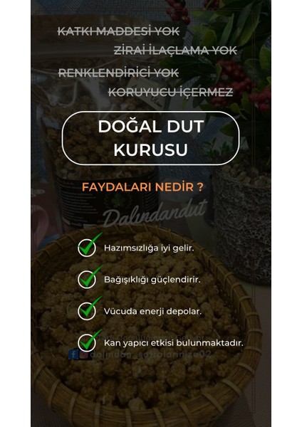 Yeni Mahsül Doğal Kurutulmuş Organik Dut Kurusu (Yerli) 150 gr fiyatları