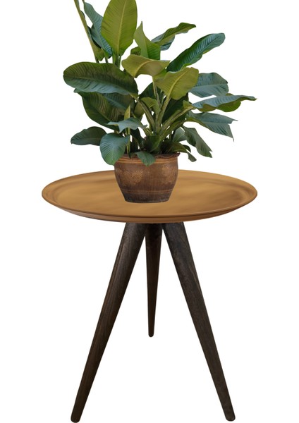 Koyu Meşe Konik 30 cm Ahşap Mobilya Ayağı – 3’lü (Koltuk, Puf, Tv Ünitesi, Dresuar, Orta Sehpa Bağlantı Aparatı Dahil) indirimleri