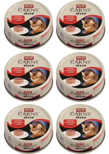 Carny Ocean Ton ve Sığır Etli Kedi Konservesi 80GR - 6 Adet