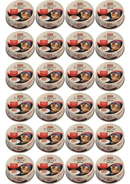 Carny Ocean Ton ve Sığır Etli Kedi Konservesi 80GR - 24 Adet