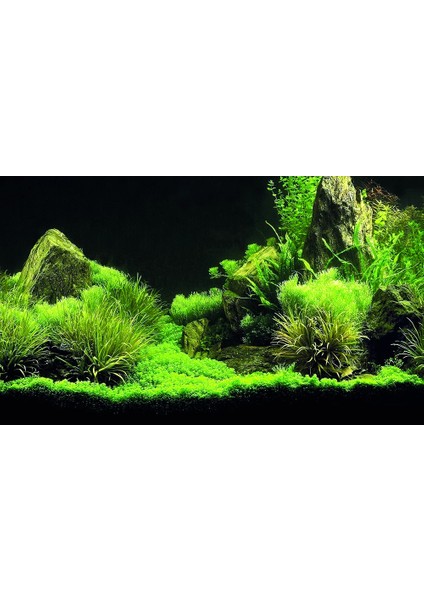 KP8550035 Akvaryum Arka Fon Yapıştırma 85 x 50 cm