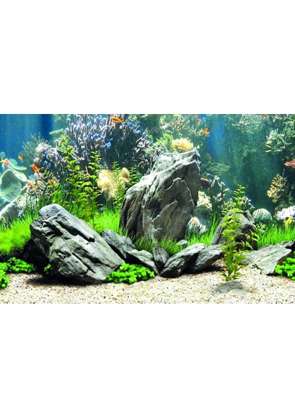 KP7045034 Akvaryum Arka Fon Yapıştırma 70 x 45 cm