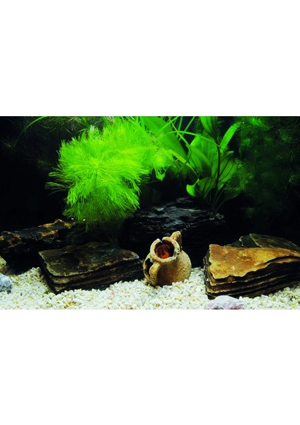 KP7045033 Akvaryum Arka Fon Yapıştırma 70 x 45 cm