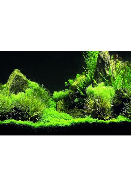 KP7045035 Akvaryum Arka Fon Yapıştırma 70 x 45 cm