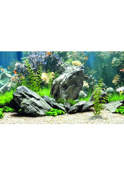 KP8550034 Akvaryum Arka Fon Yapıştırma 85 x 50 cm