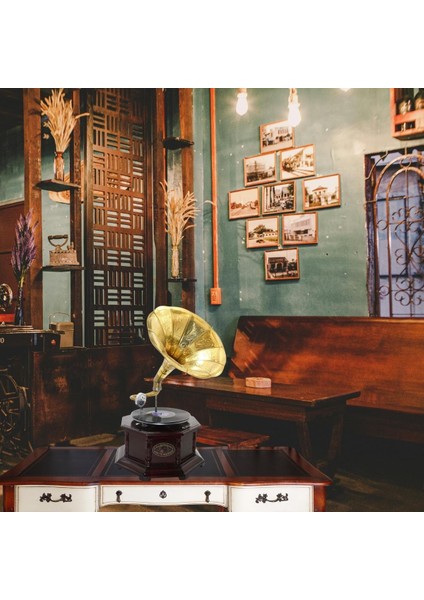 Gramofon Sekizgen Ahşap Plak Çalar No.2 37X63CM fiyatları