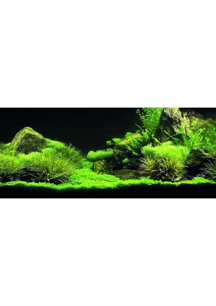 KP1556535 Akvaryum Arka Fon Yapıştırma 155 x 65 cm