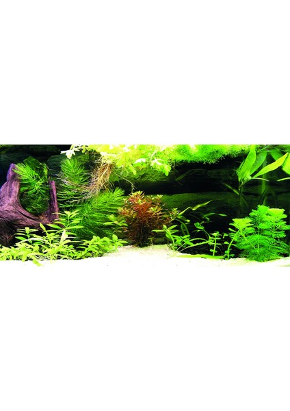 KP1556536 Akvaryum Arka Fon Yapıştırma 155 x 65 cm