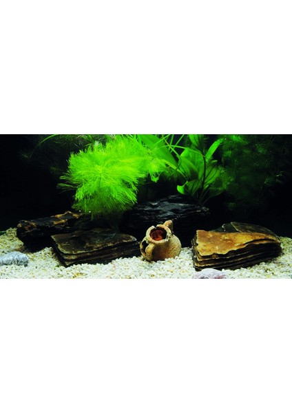KP10552033 Akvaryum Arka Fon Yapıştırma 105 x 52 cm