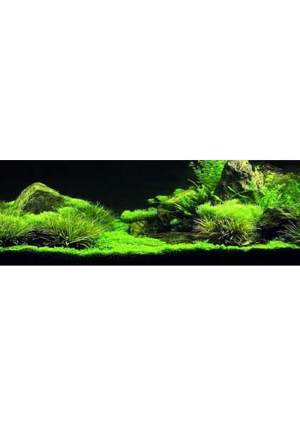 KP18565035 Akvaryum Arka Fon Yapıştırma 185 x 65 cm