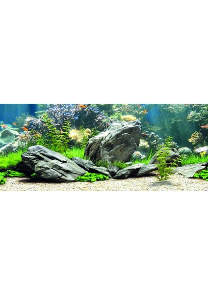 KP1556534 Akvaryum Arka Fon Yapıştırma 155 x 65 cm