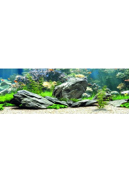 KP18565034 Akvaryum Arka Fon Yapıştırma 185 x 65 cm