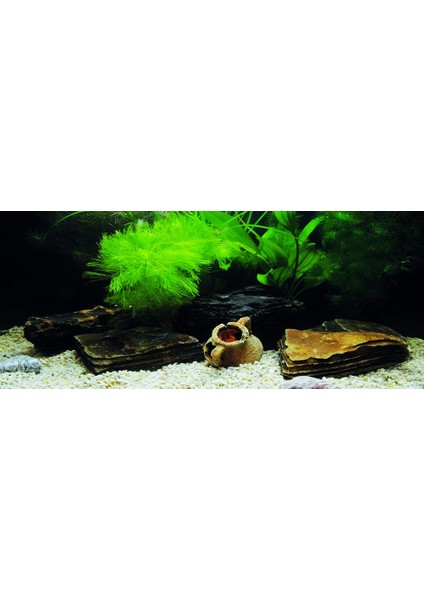 KP1556533 Akvaryum Arka Fon Yapıştırma 155 x 65 cm