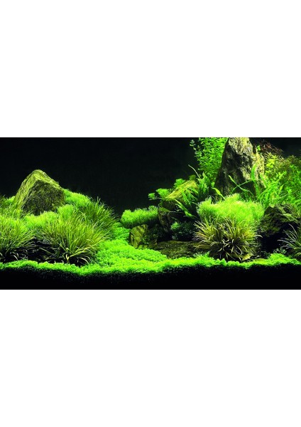 KP1256335 Akvaryum Arka Fon Yapıştırma 125 x 63 cm