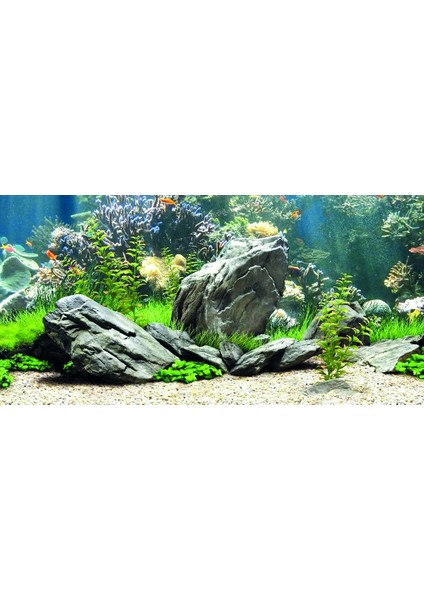 KP10552034 Akvaryum Arka Fon Yapıştırma 105 x 52 cm
